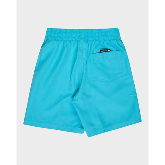 2026 Quiksilver Everyday Vert Volley Youth Boardhorts - Horizon Blue