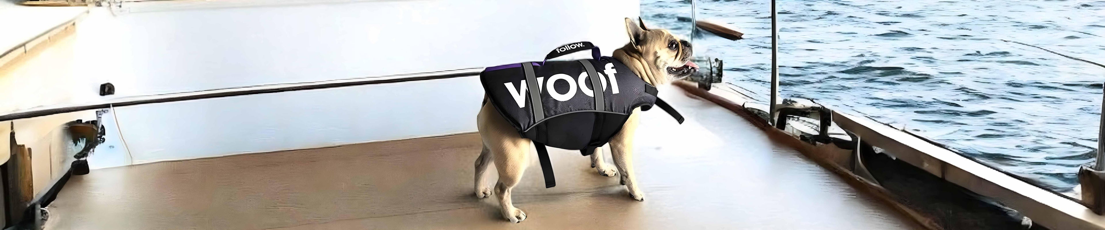 French bulldog wearing a black dog life vest on a boat near water, wakeboard essentials