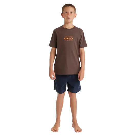 2026 Quiksilver The Void Youth SS Tee - Chocolate Brown