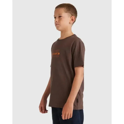 2026 Quiksilver The Void Youth SS Tee - Chocolate Brown