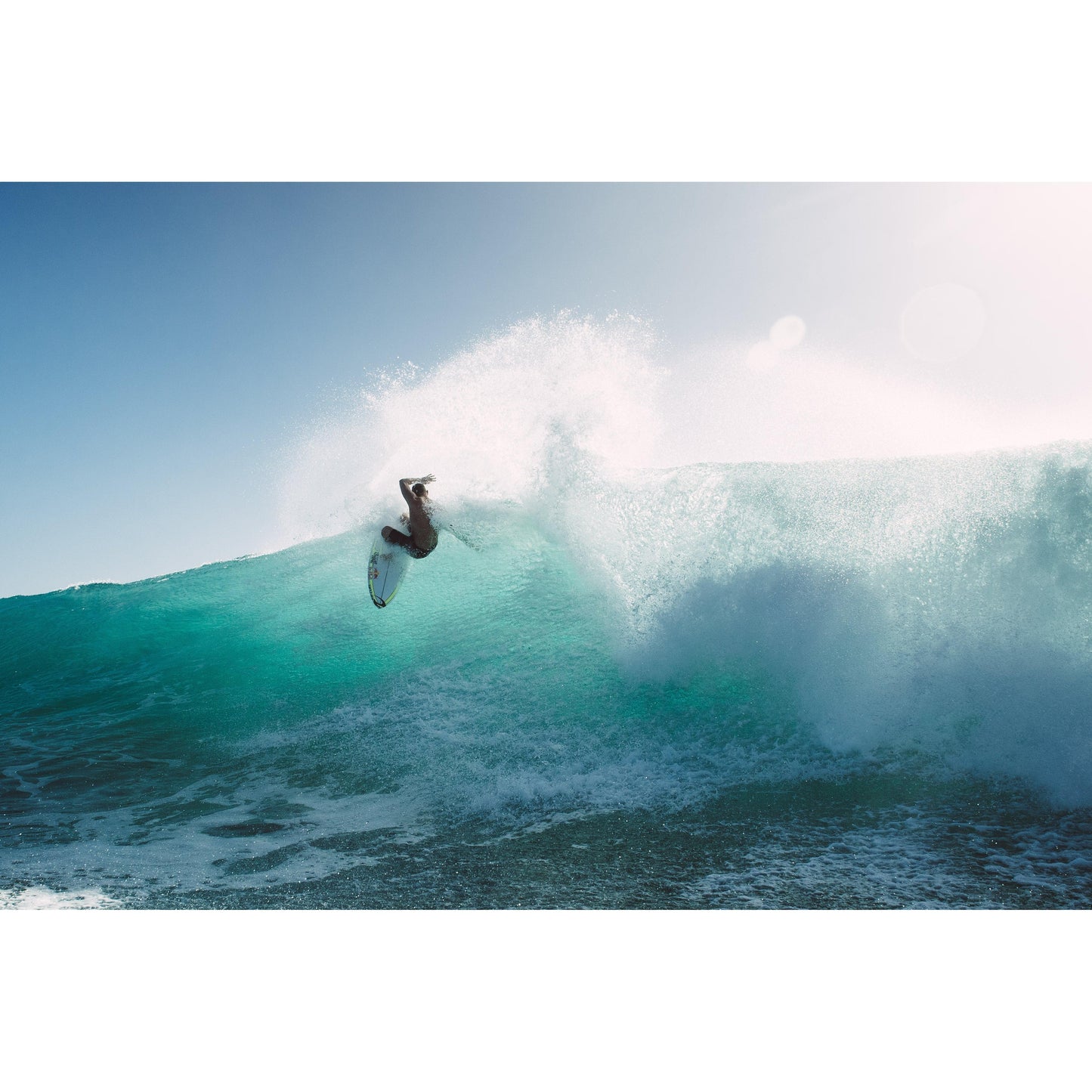 Creatures of Leisure Reliance 2.0 Standard Duty 8" Leg Rope