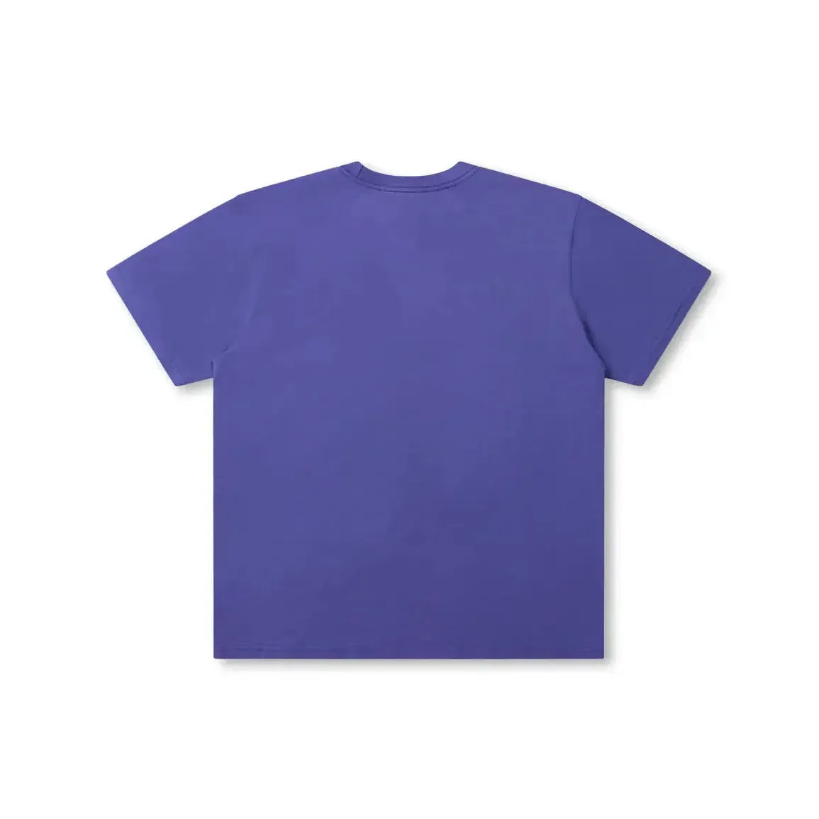 Former Salvage Legacy T-Shirt - Washed Violet