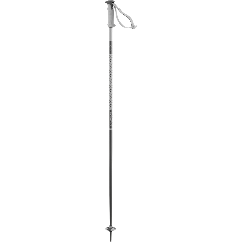 Salomon Polar Ski Poles - Grey Violet