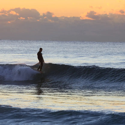 Ocean and Earth Diamond Flex 9 Leash - Black